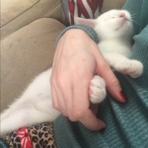 Meet your Posher, Megan